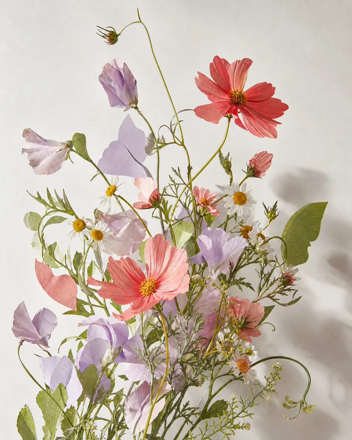 An airy arrangement of cosmos, daisies and sweet peas